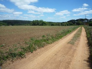 Terreno em Fazenda Rio Grande