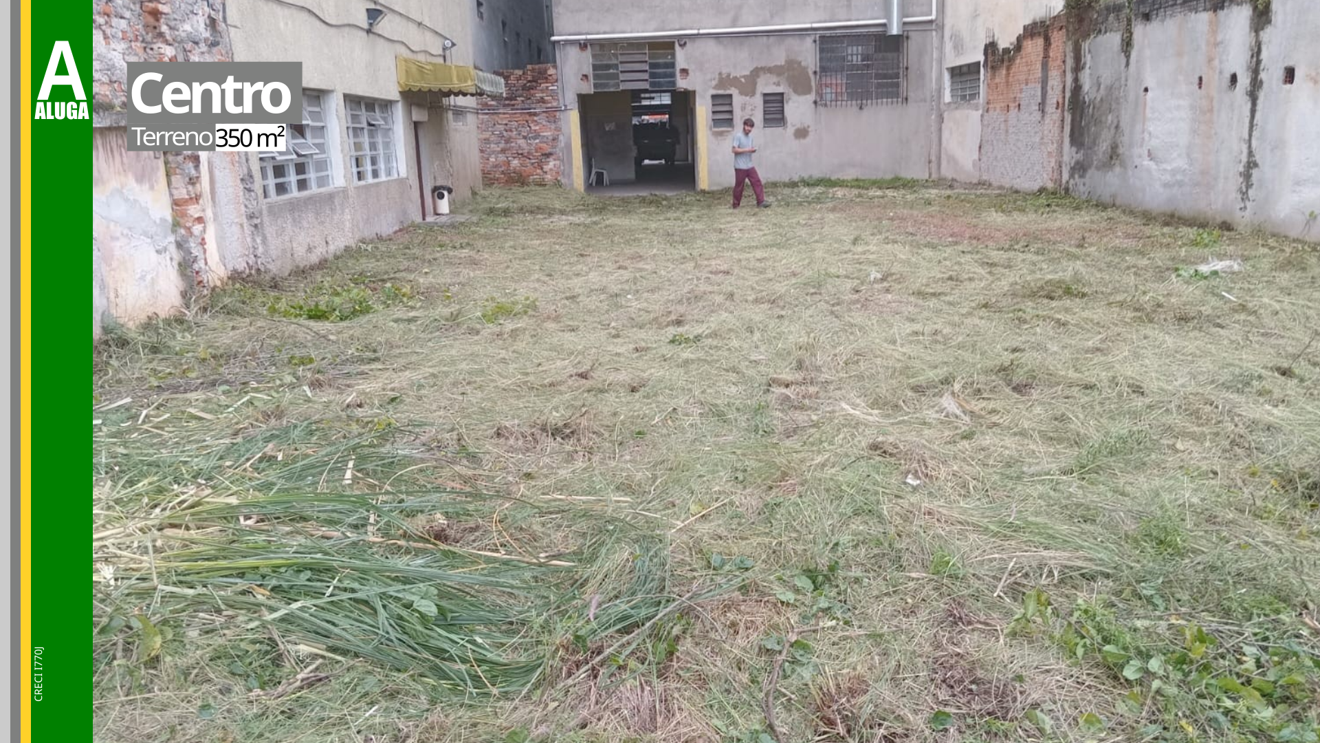 video image