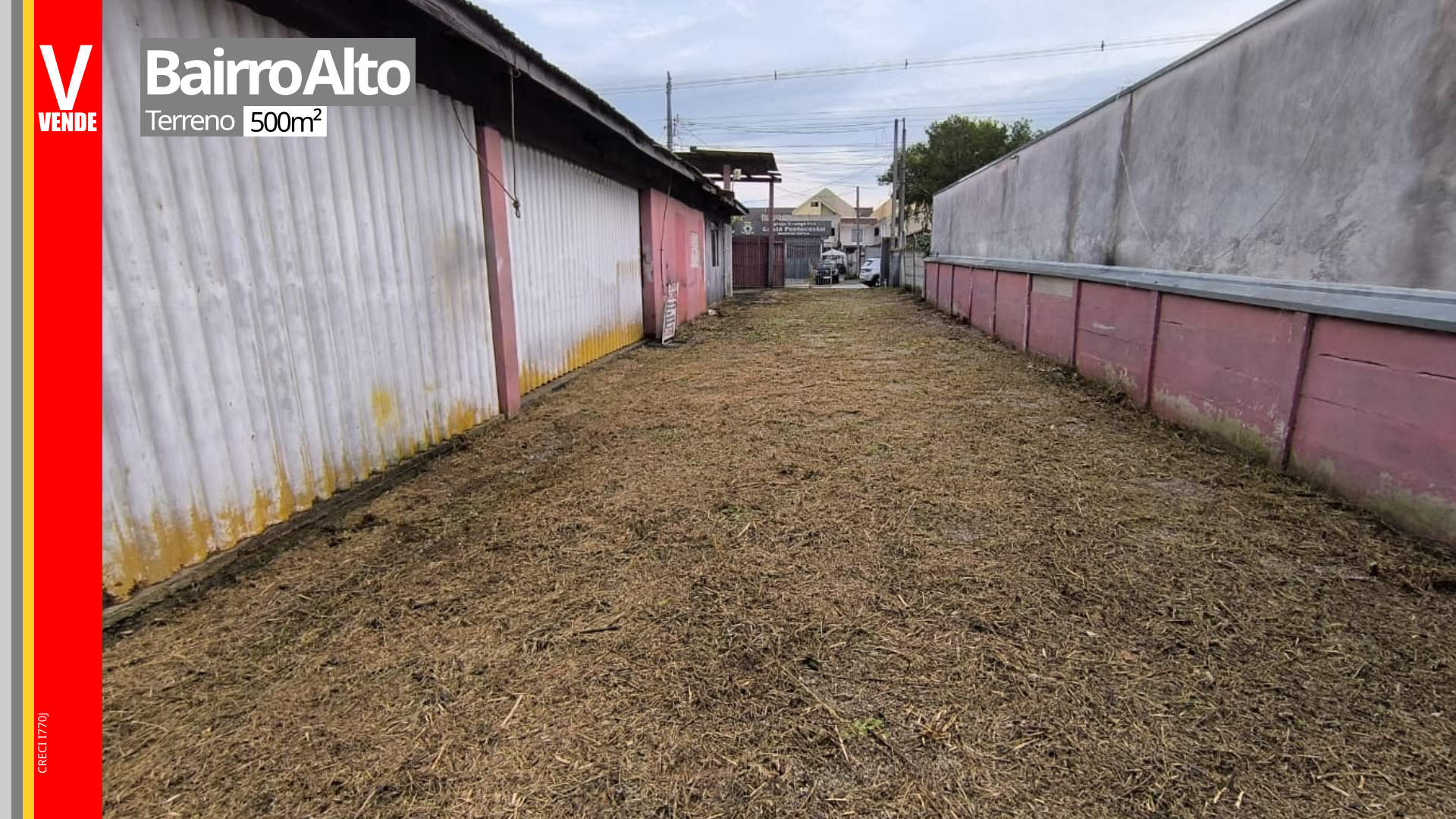 video image